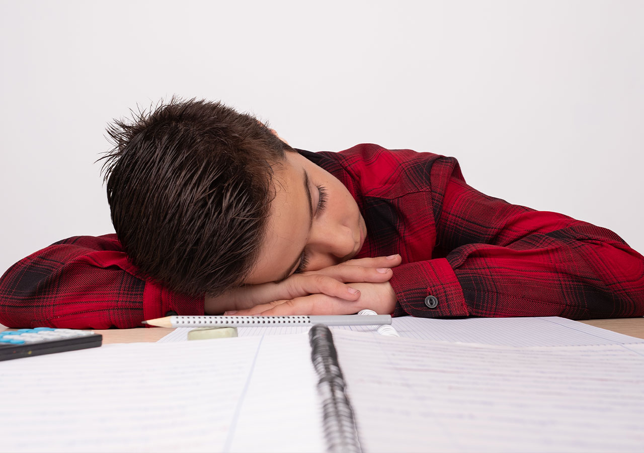 dormir en clases