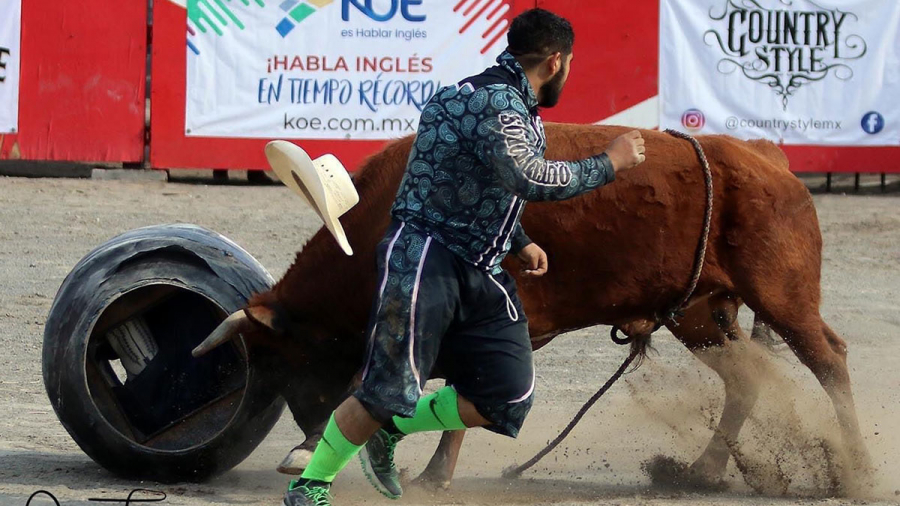 03 bull fighters hablan ingles