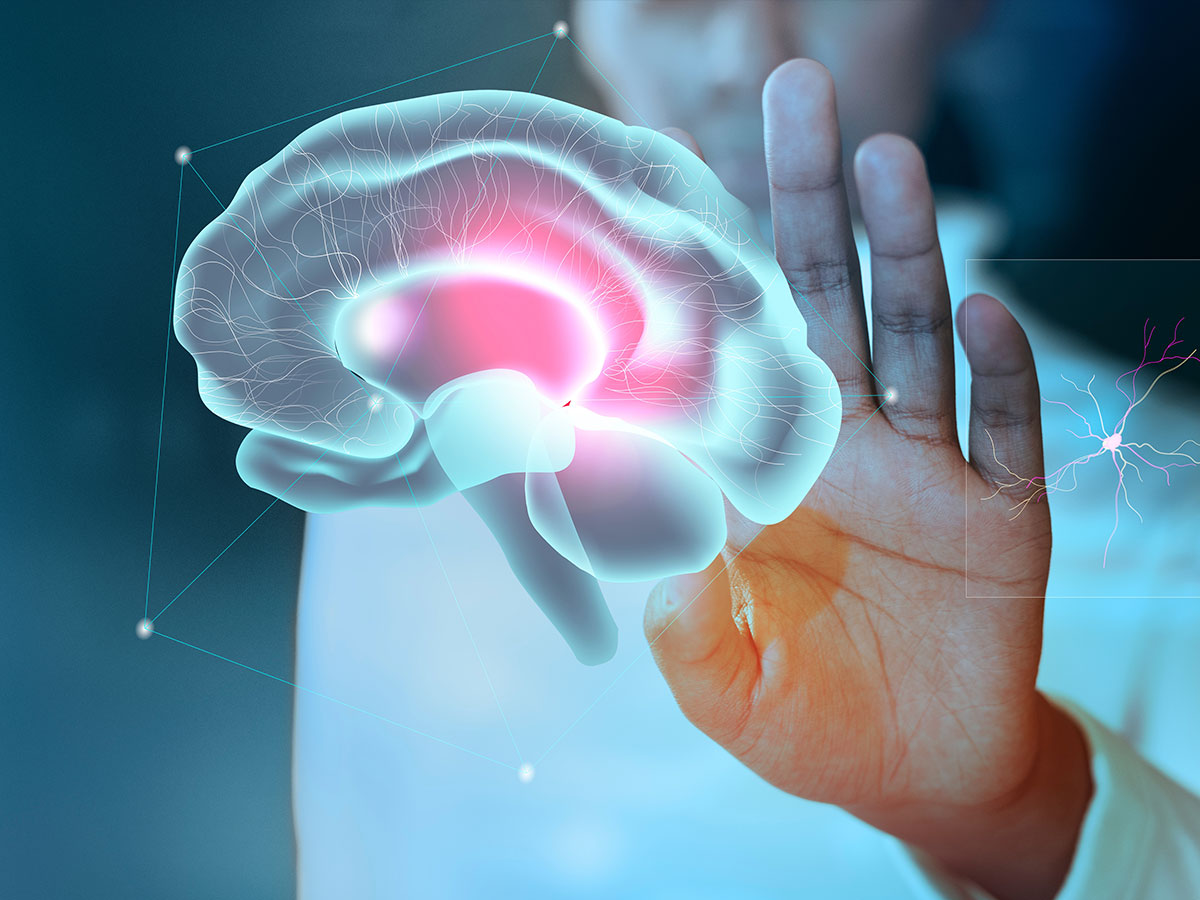 hablar ingles cerebro