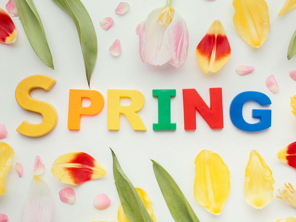 Vocabulario de primavera en ingles